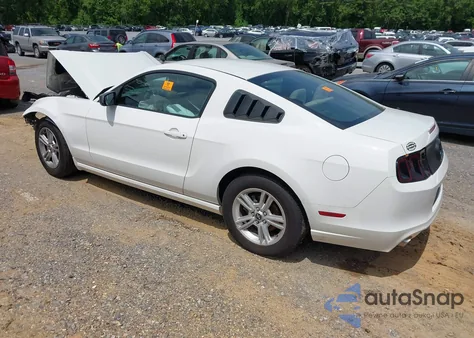 2013 Ford Mustang V6 z USA, uszkodzony, nr VIN 1ZVBP8AM4D5261559